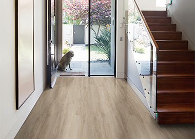 Vinyl Flooring Low Cost and Install
